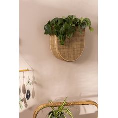 a plant hanging on the wall next to a chair with a potted plant in it