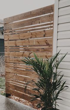 a potted plant next to a wooden fence on the side of a house in front of a building