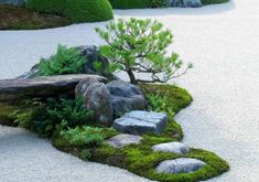 a rock garden with moss growing on the ground and rocks in the middle, along with a small pine tree