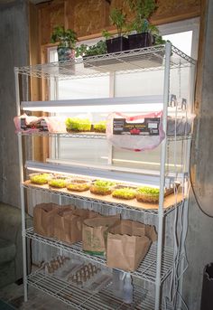 the shelves are filled with plants and food