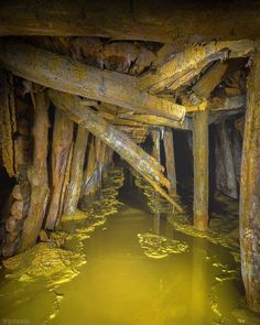 the inside of an old wooden structure with water in it and algae growing on the ground