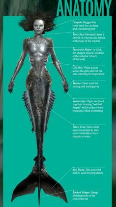 the anatomy of a woman's body and head, with text describing it as an ocean creature