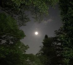 the full moon shines brightly through the trees on a dark night in the woods