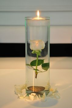 a white rose in a glass vase with water