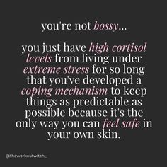 a quote that reads, you're not bossy you just have high control levels from