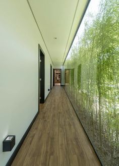 the hallway is lined with bamboo trees and glass walls