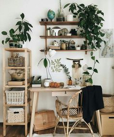 a room with shelves and plants on the wall