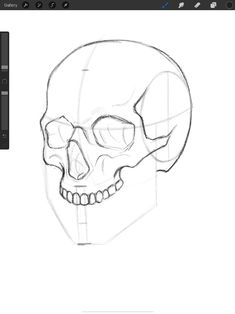 an image of a skull in the middle of a screen shot, with one side drawn