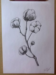 a pencil drawing of some flowers on a piece of paper with a marker in front of it