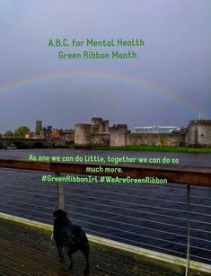 a black dog standing on top of a wooden deck next to a river with a rainbow in the sky