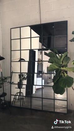 a large mirror sitting on top of a wooden floor next to a plant in a pot