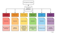 the structure of an organization chart with different sections labeled in red, blue, yellow and green