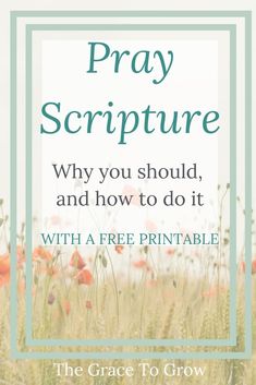 a field with flowers and the words pray scripture why you should, and how to do