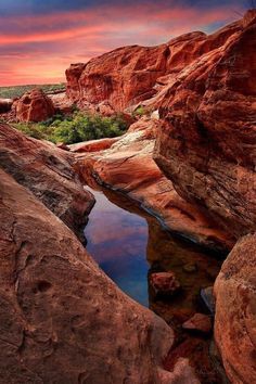 the sun is setting over some rocks and water in the middle of it, with trees growing out of them