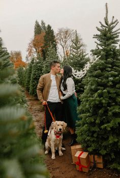 a man and woman standing next to each other with a dog on a leash in front of christmas trees