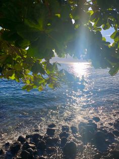 the sun shines brightly through some trees over the water and rocks on the shore