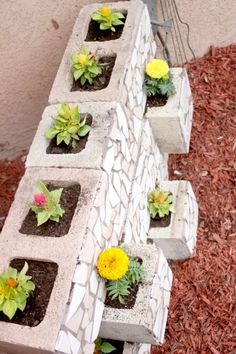 several cement blocks with plants growing out of them