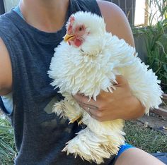 a woman holding a white chicken in her arms