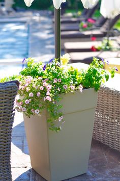 a potted plant with white flowers sitting on a patio table next to an umbrella