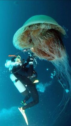 a person in a wet suit is diving with a jellyfish