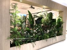 an indoor planter filled with lots of green plants