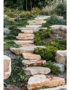 a stone path in the middle of a garden