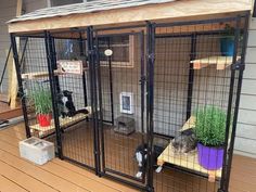 two cats are sitting in their cages on the deck outside an outdoor cat house that has plants and potted plants inside