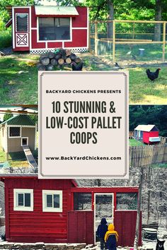 the backyard chicken coops are red with white trim, and there is a sign that says 10 stunning & low cost pallet coop coops