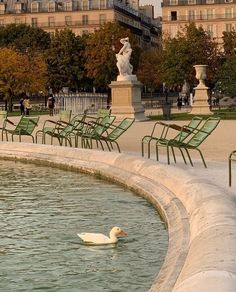 a white duck swimming in the middle of a pond with lawn chairs around it and buildings in the background