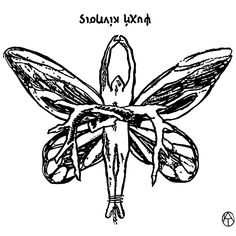 a black and white drawing of a dragonfly with the words slovny lxnt on it