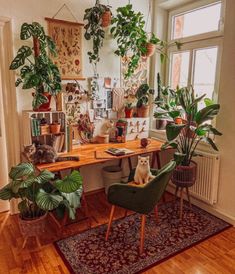 a cat sitting on a chair in front of a desk with potted plants