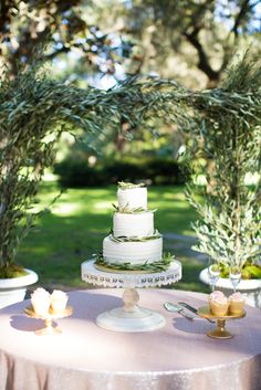 a wedding cake sitting on top of a table next to some plants and trees in the background