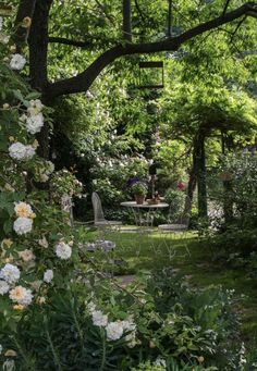 the garden is full of white flowers and greenery, with an outdoor dining area in the background