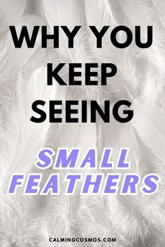 Have you been finding small feathers everywhere but don't know the meaning? Discover the powerful spiritual messages behind seeing white, black, gray or brown feathers and how it's a sign from the Universe. Click to read how finding feathers relates uniquely to your life path, what you need to know right now, and what the angels want you to understand. #feathersmeaning #featherssymbolism Brown Feather Meaning, Grey Feather Meaning, White Feather Meaning, Feather Color Meaning, A Sign From The Universe, Finding Feathers, Sign From The Universe, Feather Signs