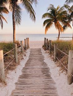 a wooden path leading to the beach with palm trees