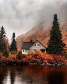 a house sitting on top of a lake surrounded by trees