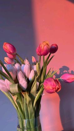 pink and white tulips in a glass vase on a table against a wall