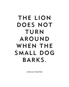 the lion does not turn around when the small dog barks quote by african prove