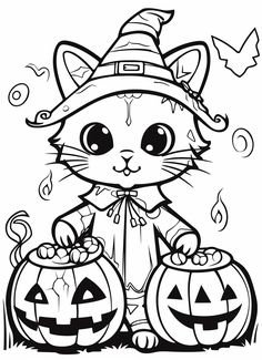 a cat in a witches hat sitting next to two pumpkins