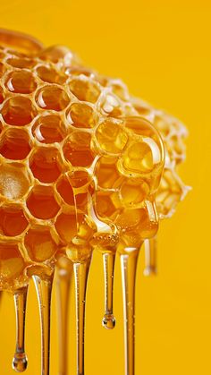 honey combs are lined up in rows on yellow background with drops of liquid coming from them