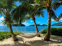 Hammock at the beach on Sainte Anne, Seychelles Seychelles Travel, Bucket List Life, Just Chilling, My Travel, Turquoise Water, Travel Information, Barcelona Spain, Seychelles, Plan Your Trip