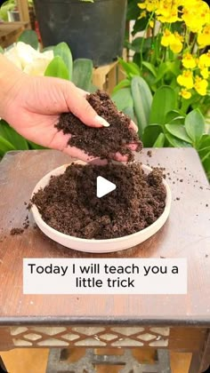 someone is scooping dirt into a bowl with the words today i will teach you a little trick