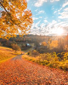 the sun shines brightly on an autumn day in rural area with trees and foliage