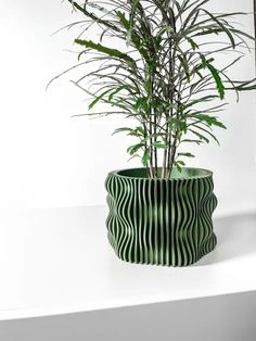 a potted plant sitting on top of a window sill next to a mirror