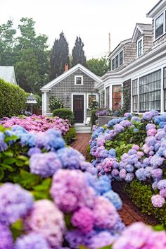 many different colored flowers in front of some houses