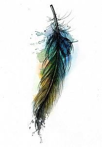 a watercolor painting of a feather on a white background