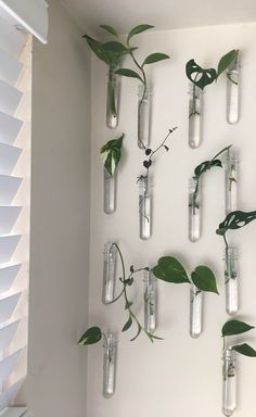 several glass bottles with plants in them hanging on the wall above a window sill