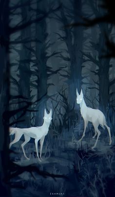 two white foxes walking in the woods at night