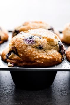 freshly baked blueberry muffins sitting on a baking tray ready to be eaten