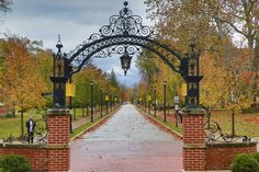 an iron gate in the middle of a brick walkway leading to a grassy area with trees on both sides